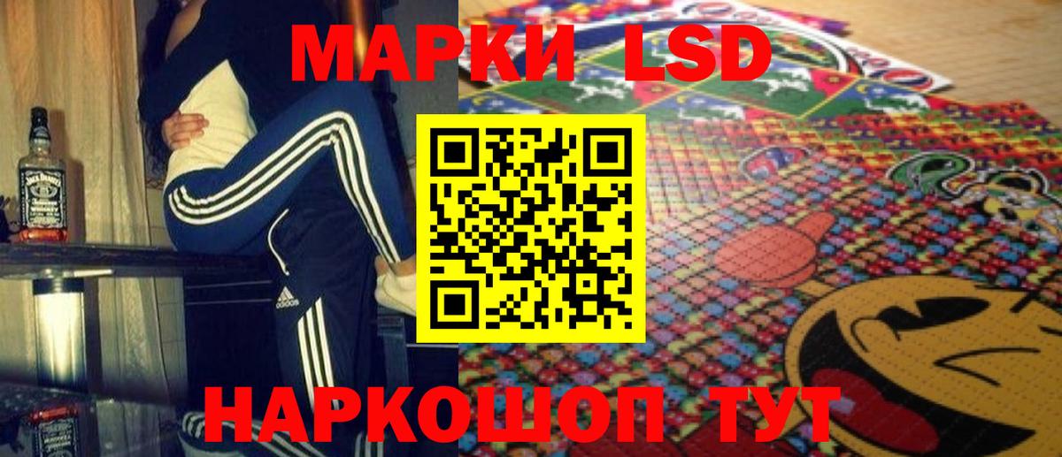 Альфа ПВП Новосибирск