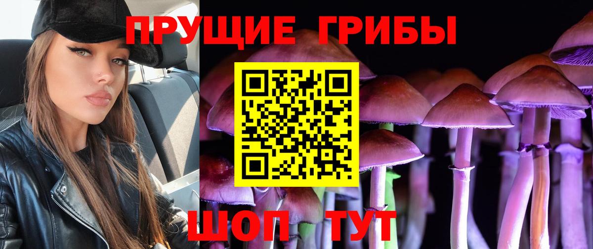 Псилоцибиновые грибы мицелий Новосибирск
