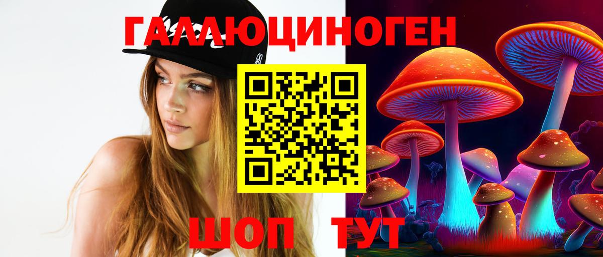 Новосибирск  Псилоцибиновые грибы GOLDEN TEACHER  Вход с VPN 